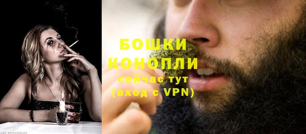 трава Верея