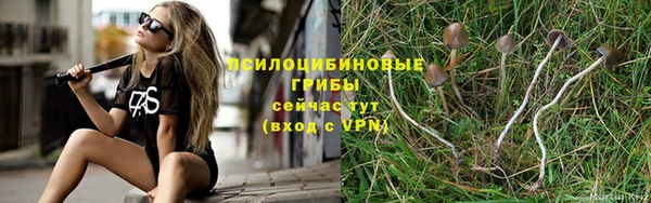 трава Верея