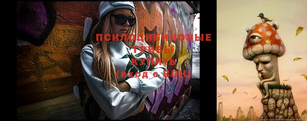 трава Верея