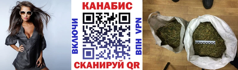 Бошки марихуана индика  Ессентуки 